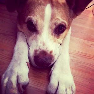 Meet your Posher, Natalie